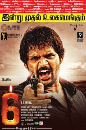 6 Candles (2013) Hindi Dubbed 350MB