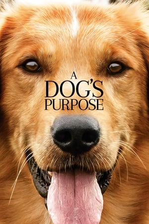 A Dog's Purpose (2017) Full Movie 850MB HD Poster Download - filmyfly