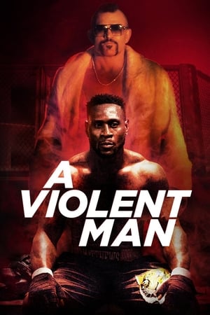 A Violent Man 2017 Hindi Dual Audio 330MB