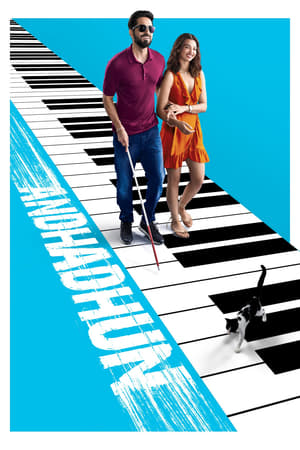 Andhadhun (2018) Hindi Movie [1.1GB] HD Poster Download - filmyfly