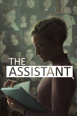 Assistant 2021 Hindi (Fan Dub) Dual Audio [650MB] HD Poster Download - filmyfly