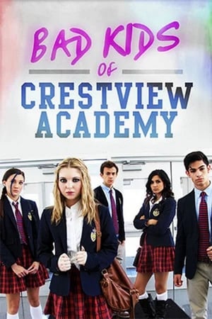 Bad Kids of Crestview Academy (2017) Hindi Dual Audio [900MB]