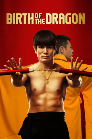 Birth of the Dragon (2016) Hindi Dual Audio 350MB