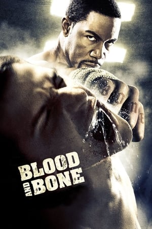 Blood and Bone (2009) Hindi Dual Audio 300MB HD Poster Download - filmyfly