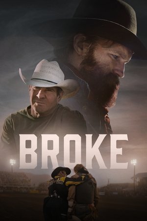 Broke (2025) Hindi (MULTI AUDIO) – – HD Poster Download - filmyfly