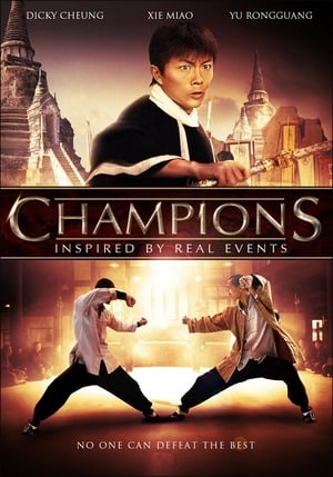 Champions (2008) Hindi Dual Audio 380MB