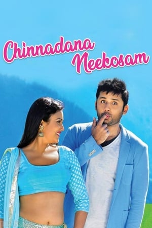 Chinnadana Nee Kosam 2014 Hindi Dual Audio [1.5GB]