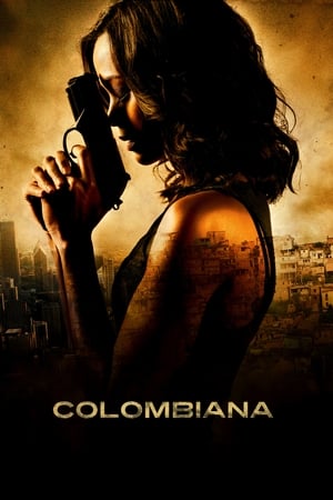 Colombiana (2011) Hindi Dual Audio 350MB HD Poster Download - filmyfly