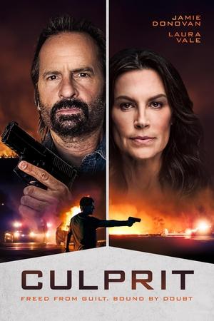 Culprit (2025) Hindi (MULTI AUDIO) – –