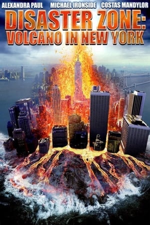 Disaster Zone Volcano in New York 2006 Hindi Dual Audio 300MB HD Poster Download - filmyfly