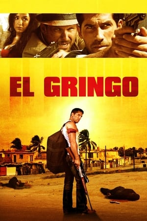 El Gringo (2012) Hindi Dual Audio 300MB