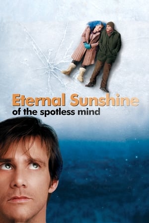 Eternal Sunshine Of The Spotless Mind 2004 Hindi Dual Audio 300MB HD Poster Download - filmyfly