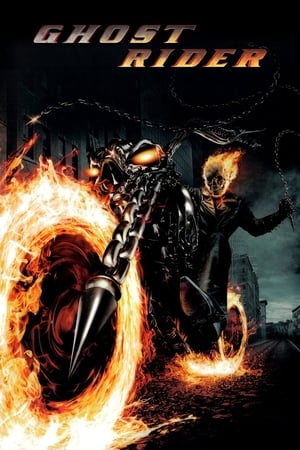 Ghost Rider (2007) Hindi Dual Audio 400MB HD Poster Download - filmyfly