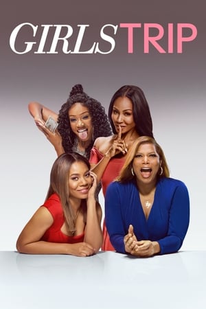 Girls Trip (2017) Hindi Dual Audio [1GB] HD Poster Download - filmyfly