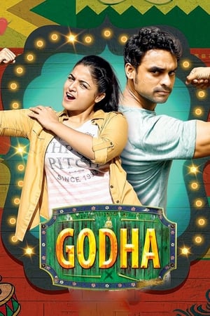 Godha (2017) Hindi Dual Audio [1.4GB]