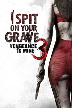 I Spit on Your Grave: Vengeance Is Mine (2015) Hindi Dual Audio – HD Poster Download - filmyfly