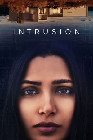Intrusion (2021) Hindi Dual Audio 400MB HD Poster Download - filmyfly