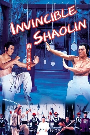 Invincible Shaolin 1978 Hindi Dual Audio [1.3GB]