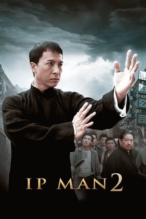 Ip Man 2 (2010) Hindi Dual Audio 350MB HD Poster Download - filmyfly