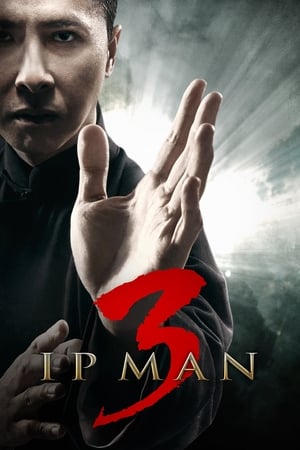 Ip Man 3 (2015) Hindi Dual Audio [900MB] HD Poster Download - filmyfly