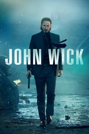 John Wick (2014) Hindi Dual Audio [900MB] ESubs