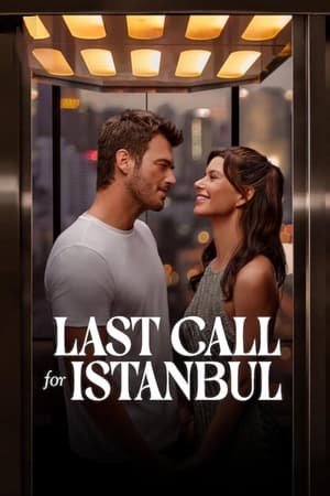 Last Call for Istanbul 2023 Hindi Dual Audio – HD Poster Download - filmyfly
