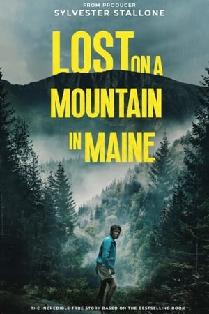 Lost on a Mountain in Maine 2024 Tamil Dubbed HD Poster Download - filmyfly