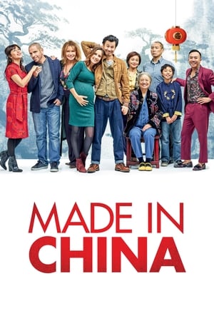 Made in China (2019) Hindi Movie - [340MB] HD Poster Download - filmyfly