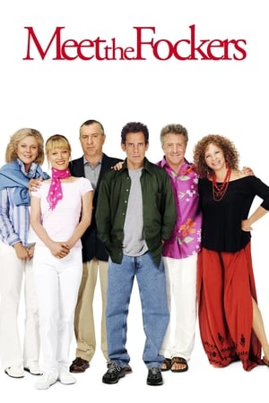 Meet the Fockers (2004) Hindi Dual Audio [1.1GB]