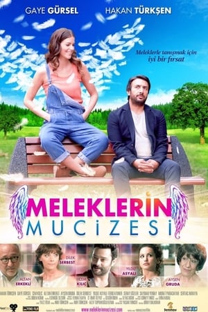 Meleklerin mucizesi (2014) Hindi Dual Audio [600MB] HD Poster Download - filmyfly