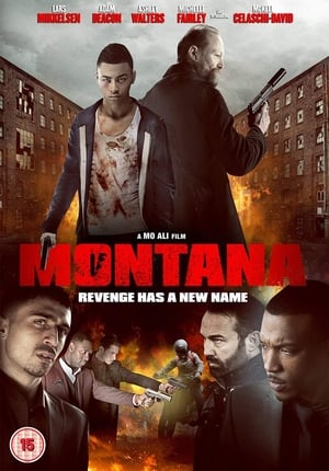 Montana (2014) Hindi Dual Audio [900MB] HD Poster Download - filmyfly