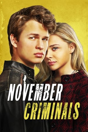 November Criminals (2017) Hindi Dual Audio – HD Poster Download - filmyfly