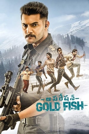 Operation Gold Fish 2019 (Hindi - Telugu) Dual Audio [1GB]