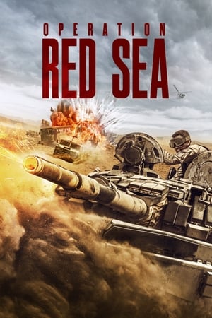 Operation Red Sea (2018) Hindi Dual Audio [1.3GB]