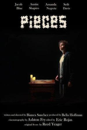 Pieces (2026) Hindi (MULTI AUDIO) – –