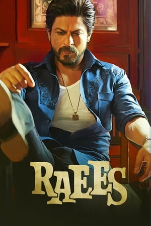 Raees 2017 400MB Full Movie HD Poster Download - filmyfly