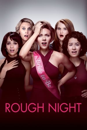 Rough Night (2017) Hindi Dual Audio [800MB]