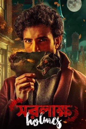 Saralakkho Holmes (2025) Hindi (MULTI AUDIO) – – HD Poster Download - filmyfly