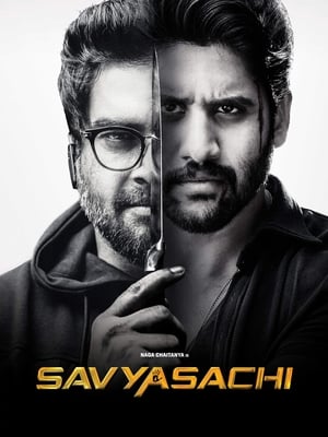 Savyasachi (2018) Hindi Dual Audio 450MB HD Poster Download - filmyfly