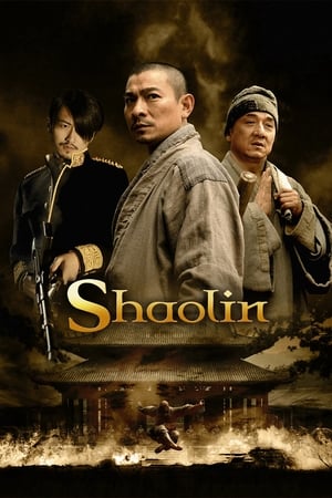 Shaolin (2011) Hindi Dual Audio 400MB HD Poster Download - filmyfly