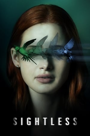 Sightless 2020 Hindi Dual Audio [800MB] HD Poster Download - filmyfly