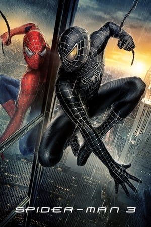 Spider-Man 3 (2007) Hindi Dual Audio 300MB HD Poster Download - filmyfly