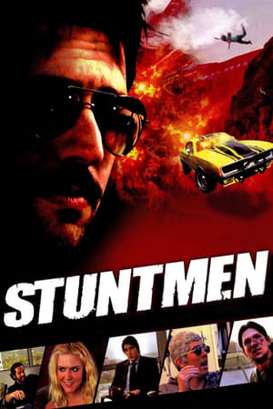 Stuntmen 2009 Hindi Dual Audio [800MB] HD Poster Download - filmyfly
