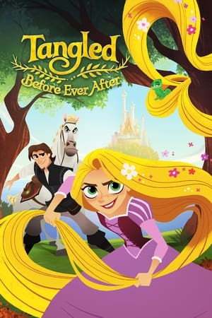 Tangled Before Ever After 2017 Dual Audio Hindi Full Movie - 600MB HD Poster Download - filmyfly