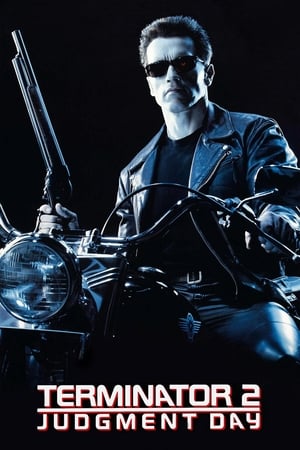 Terminator 2 (1991) Hindi Dual Audio [950MB] HD Poster Download - filmyfly