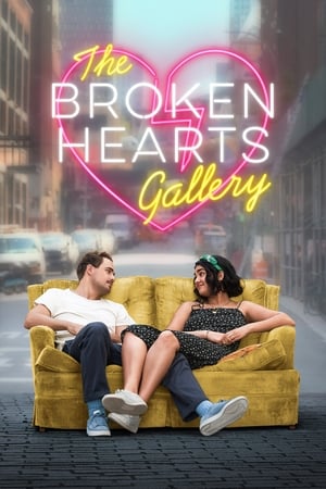 The Broken Hearts Gallery (2020) Hindi Dual Audio 340MB HD Poster Download - filmyfly
