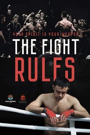 The Fight Rules 2017 Hindi Dual Audio 260MB