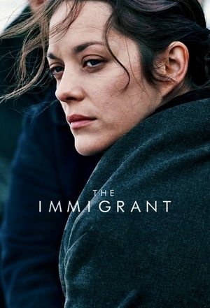 The Immigrant (2013) Hindi Dual Audio [880MB] HD Poster Download - filmyfly