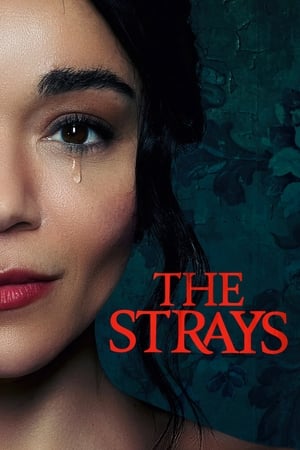 The Strays 2023 Hindi Dual Audio – HD Poster Download - filmyfly