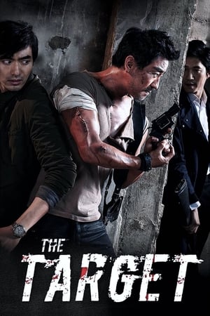 The Target (2014) Hindi Dual Audio [900MB]